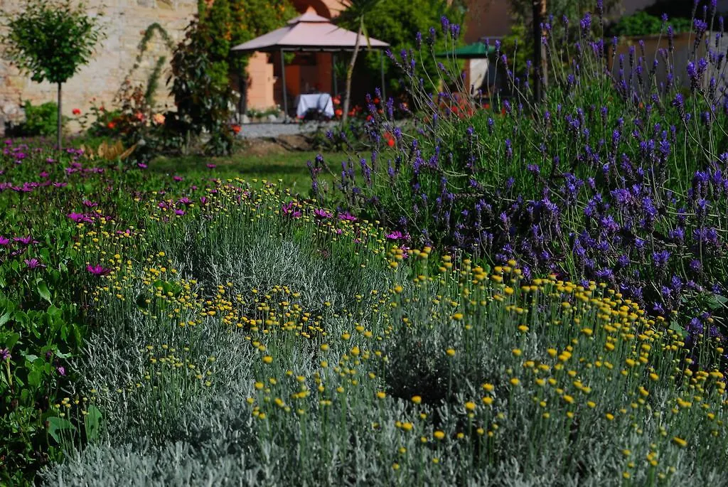 Farma Agriturismo Coppi Rossi Torrazza  Itálie
